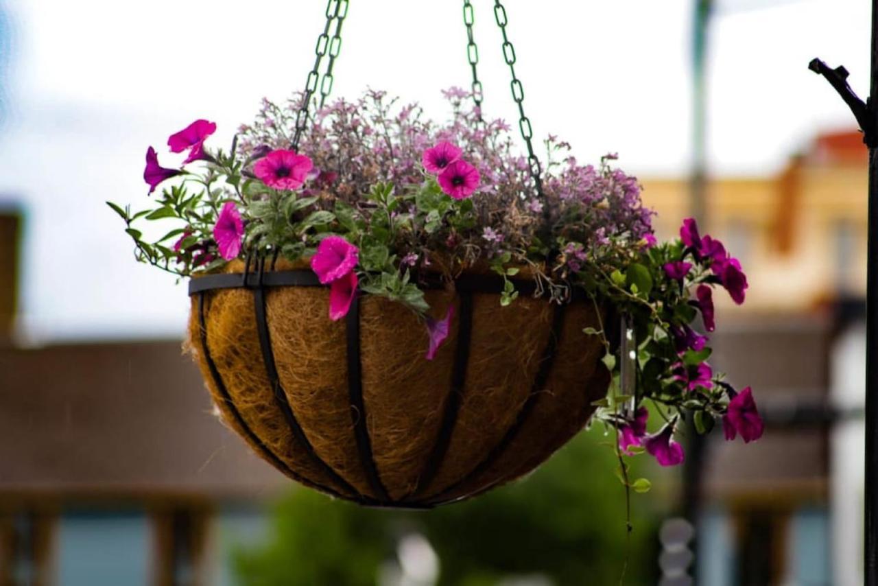 5cozy Dog Friendly Private Downtown Leadville