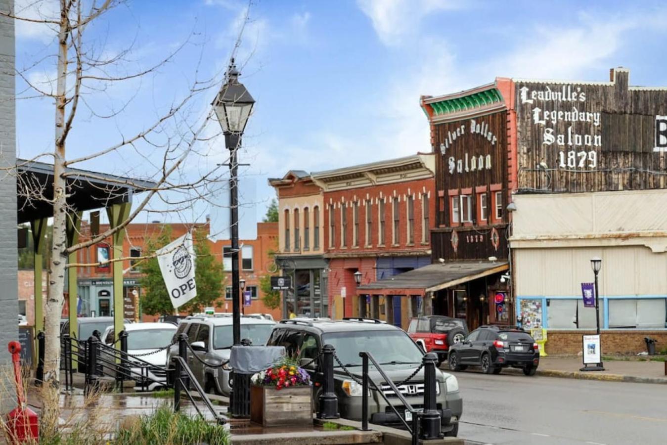 5cozy Dog Friendly Private Downtown Apartment *